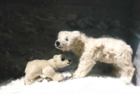polar with baby